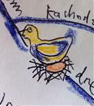 Mind Map: The bird that hatches experience